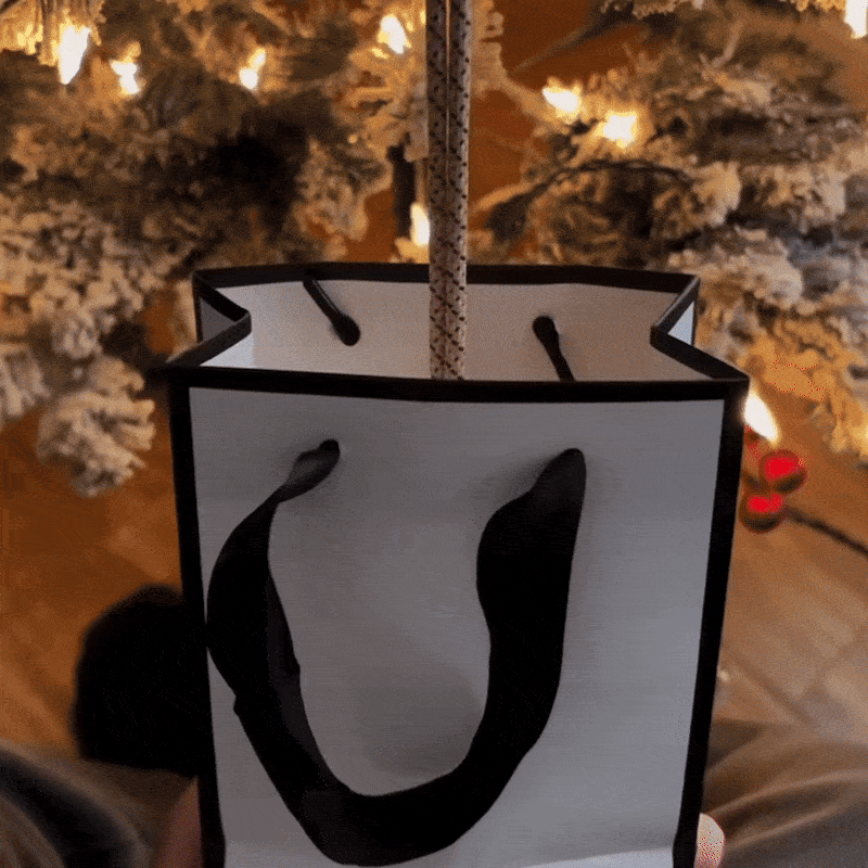 MerryMoments™ Ornament